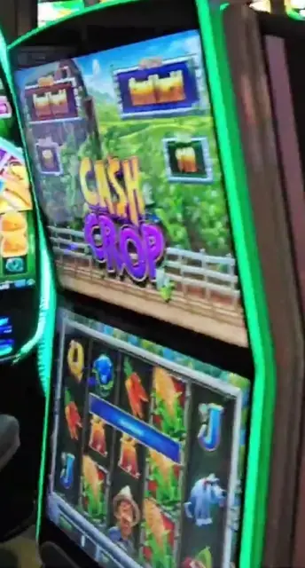 Cash Crop cabinets in the Liberty of the Seas walkthrough.