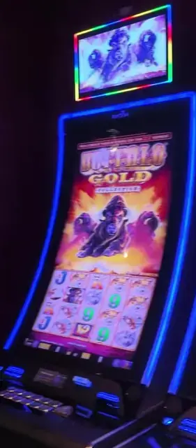 Buffalo Gold Collection cabinets in the Oasis of the Seas walkthrough.