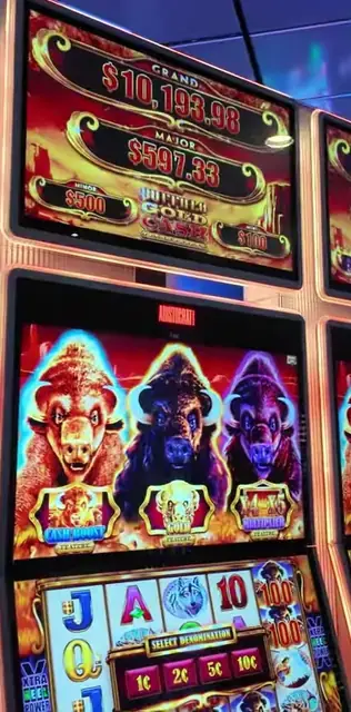 Buffalo Gold Cash Collection cabinets in the Oasis of the Seas walkthrough.