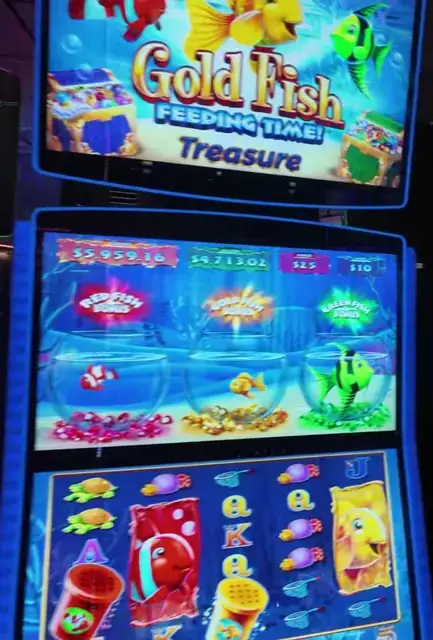 Gold Fish Feeding Time! Treasure cabinets in the Oasis of the Seas walkthrough.
