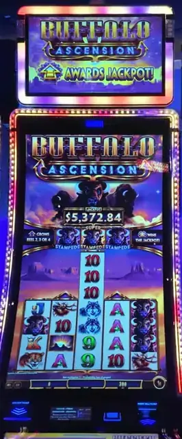 Buffalo Ascension cabinets in the Oasis of the Seas walkthrough.