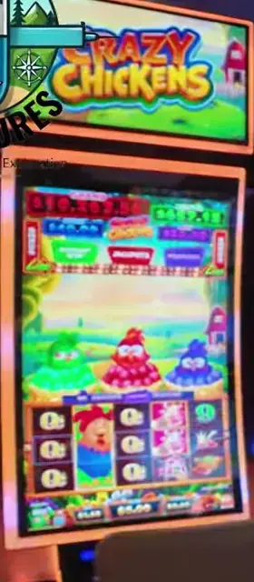 Crazy Chickens cabinets in the Star of the Seas walkthrough.