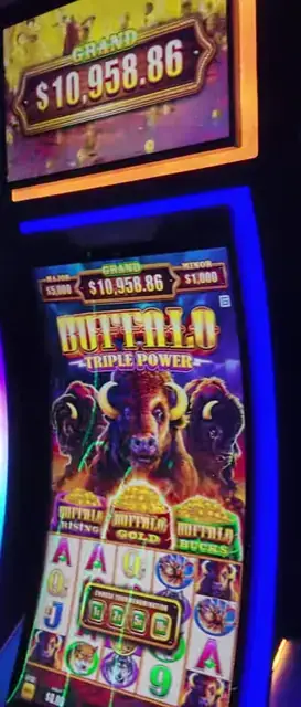 Buffalo Triple Power cabinets in the Star of the Seas walkthrough.
