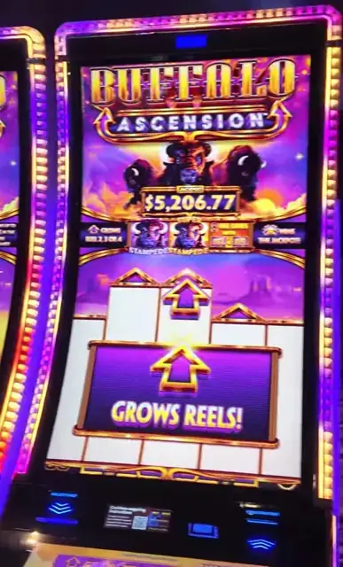 Buffalo Ascension cabinets in the Star of the Seas walkthrough.
