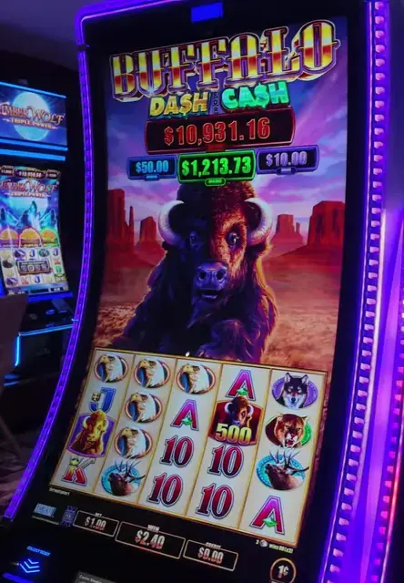 Buffalo Dash for Cash cabinets in the Star of the Seas walkthrough.