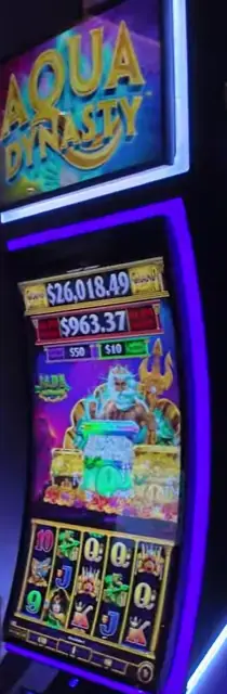 Aqua Dynasty cabinets in the Star of the Seas walkthrough.
