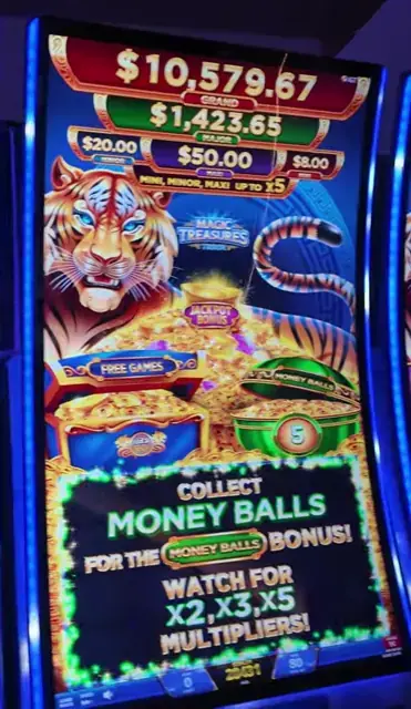 Magic Treasures Tiger cabinets in the Star of the Seas walkthrough.