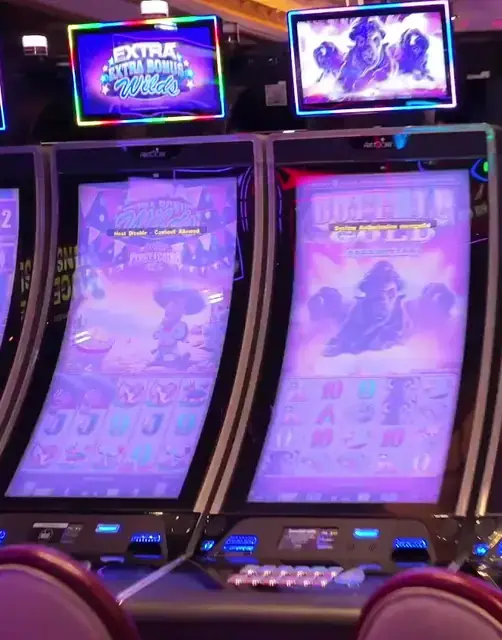 Extra Extra Bonus Wilds: Fiesta!, Buffalo Gold Collection cabinets in the Mariner of the Seas walkthrough.