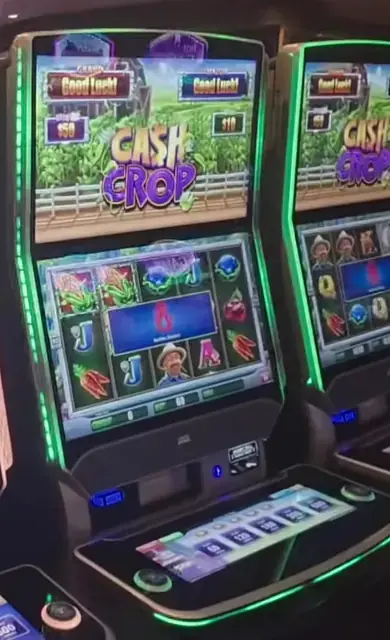 Cash Crop cabinets in the Harmony of the Seas walkthrough.