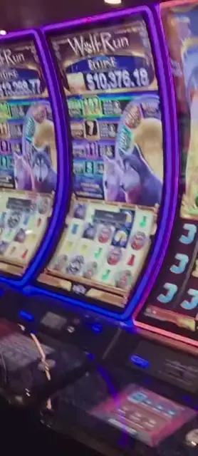 Wolf Run Eclipse cabinets in the Harmony of the Seas walkthrough.