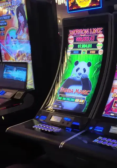 Dragon Link: Panda Magic cabinet in the Wonder of the Seas casino walkthrough.