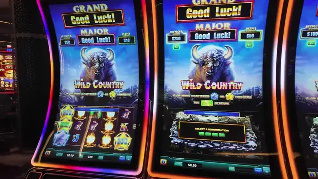 Wild Country cabinet in the Wonder of the Seas casino walkthrough.