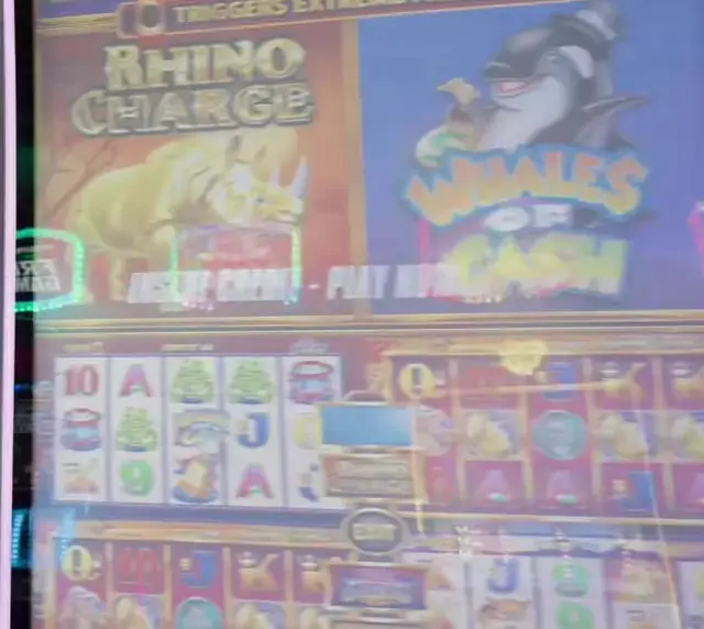 Rhino Charge, Whales of Cash cabinets in the Brilliance of the Seas walkthrough.
