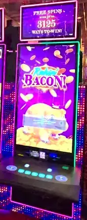 Rakin' Bacon cabinets in the Explorer of the Seas walkthrough.