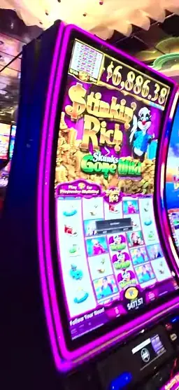 Stinkin' Rich Skunks Gone Wild cabinets in the Explorer of the Seas walkthrough.