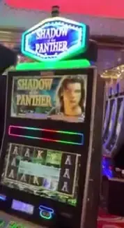 Shadow Panther title and game screen on a Celebrity Infinity cabinet