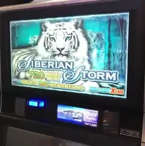 Siberian Storm title and white tiger on Celebrity Millennium