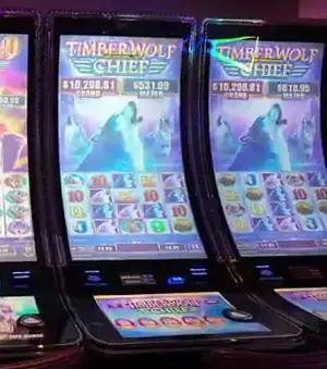 Timber Wolf Chief title on a Celebrity Xcel cabinet