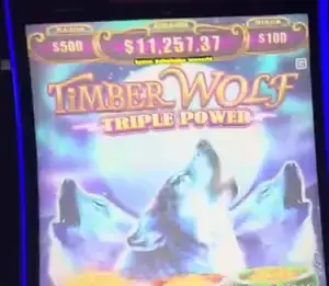 Timber Wolf Triple Power title and game screen on a Celebrity Apex slot cabinet