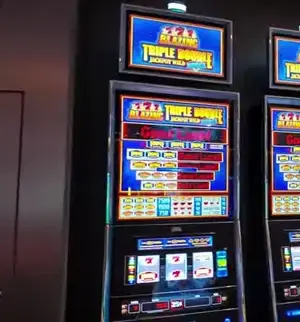 Triple Double Jackpot Wild cabinet with the full game title readable
